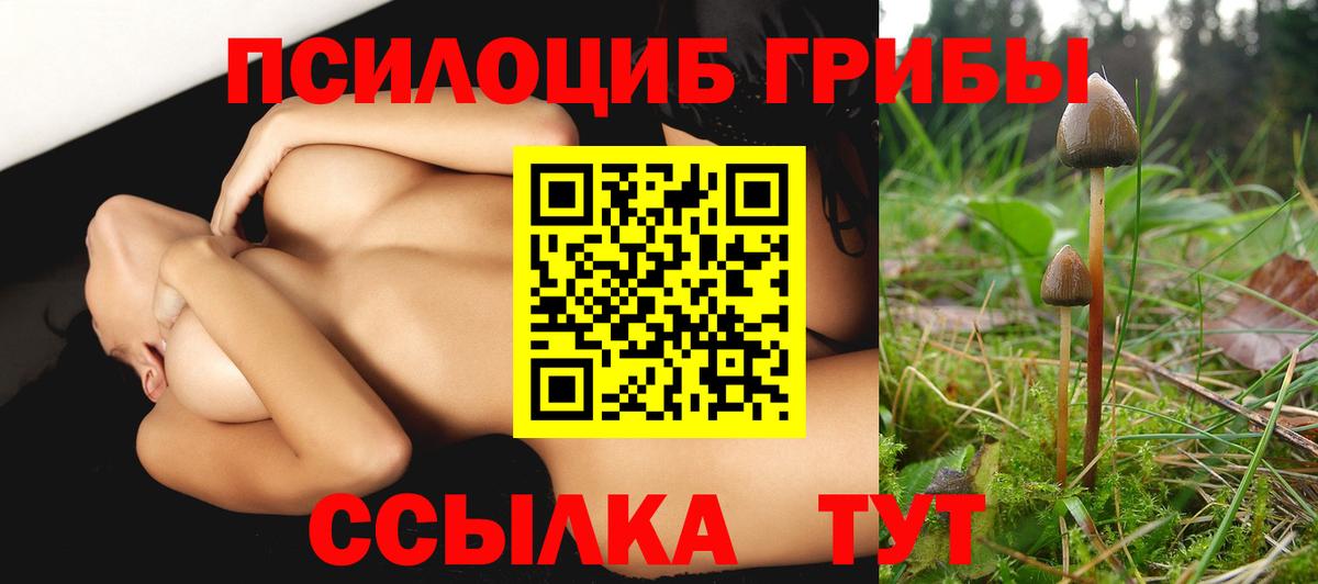 Псилоцибиновые грибы Psilocybe Ростов Великий