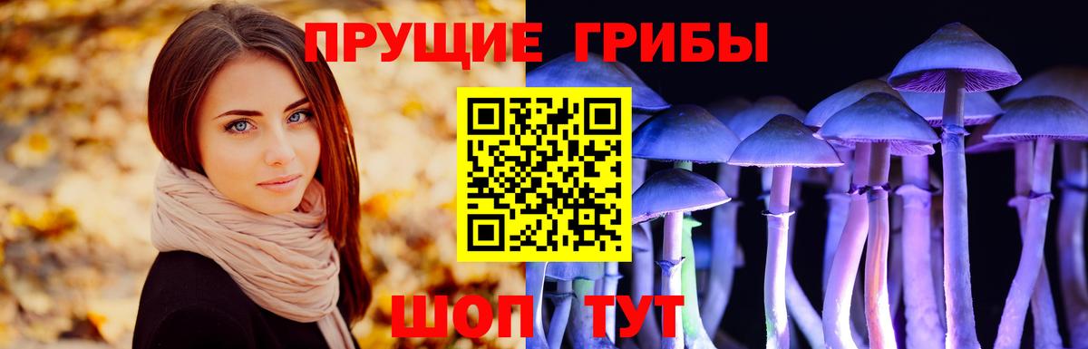 Галлюциногенные грибы мицелий  Вход с VPN  Ростов Великий  Псилоцибиновые грибы прущие грибы 